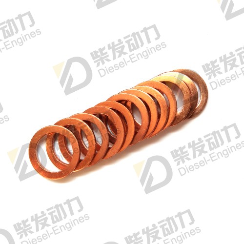 Sealing ring 21108673